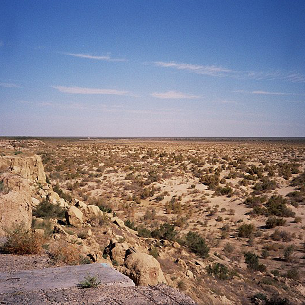 Ships of the Desert