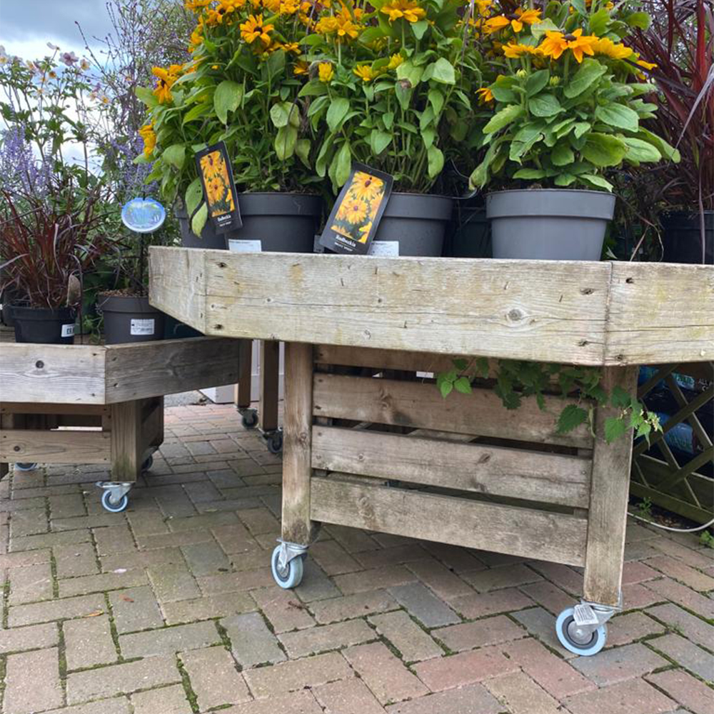 Beautiful Wooden Planters, On The Move