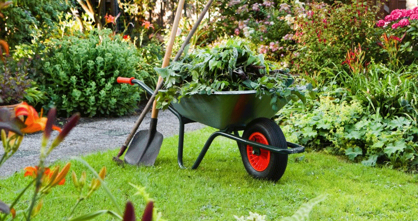 Wheelbarrow Wheels